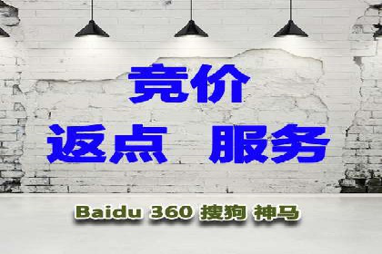真实案例解析：SEM代运营托管公司的优势与挑战
